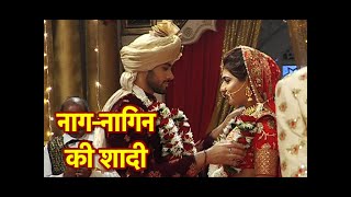 Phir Laut Aayi Naagin RajNandinis WEDDING TWIST [upl. by Afatsuom673]