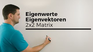 Eigenwerte Eigenvektoren 2x2 Matrix mit Geometriezusammenhang  Mathe by Daniel Jung [upl. by O'Neill967]