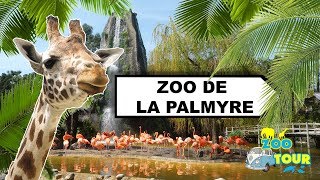 ZOOTOUR 7 Visite du Zoo de la Palmyre [upl. by Carmelo]