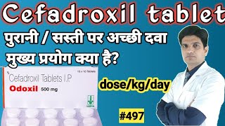 Cefadroxil 500 mg  cefadroxil tablet uses in hindi  odoxil 500 mg  droxyl 500 mg [upl. by Elleunamme]