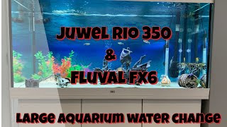 Juwel Rio 350 amp Fluval FX6 featuring large aquarium water changes [upl. by Page]