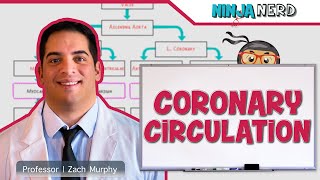 Circulatory System  Coronary Circulation [upl. by Berfield]