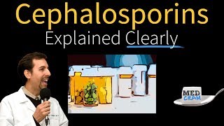 Cephalosporins  Antibiotics Explained Clearly [upl. by Seidler765]