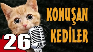 Konuşan Kediler 26  En Komik Kedi Videoları [upl. by Nagaer913]