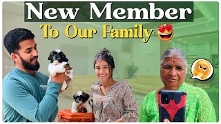 New Member 🥰 nikhilnisha  Nikhil Nisha Vlogs [upl. by Andeee]