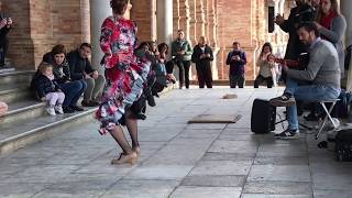 Flamenco Dance at Plaza de España in Sevilla Spain [upl. by Acirne]