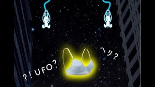 ワコールジュニア Enjoy BRA♡【UFO】 [upl. by Otter21]