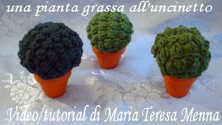 Pianta grassa alluncinetto Succulent plant [upl. by Dde]