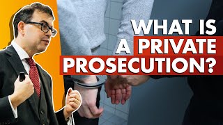 What is a private prosecution shorts [upl. by Euqinamod]