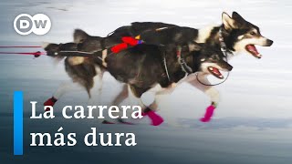 Trineos de perros en Noruega  DW Documental [upl. by Norrehs723]