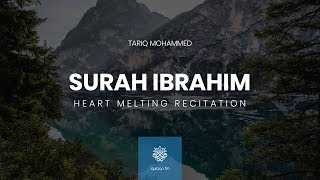 Heart Melting Recitation of Surah Ibrahim  القارئ طارق محمد  سورة إبراهيم [upl. by Einahpetse975]