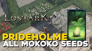 Lost Ark All Prideholme Mokoko Seed Locations [upl. by Rubenstein]