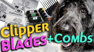 How to use DOG GROOMING CLIPPER BLADES and COMB ATTACHMENTS on a LARGE DOODLE [upl. by Ozne443]