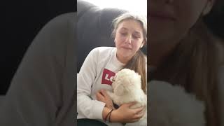 New Puppy Surprise  Unexpected reactions [upl. by Hastings]