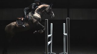 HampM Life  Sports Studio Horse Jumping with Malin Baryard [upl. by Aisatna]