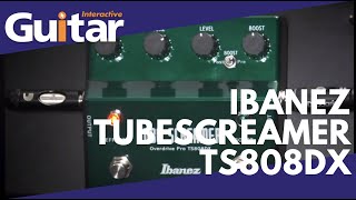 Ibanez Tubescreamer TS808DX  Review [upl. by Arihsan713]