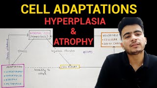 Cervical Cancer HPV and Pap Test Animation [upl. by Neehsar]