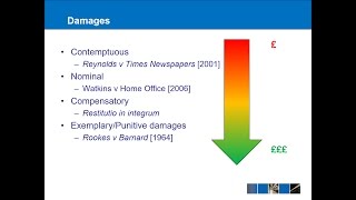 Tort Law  Remedies [upl. by Amolap]