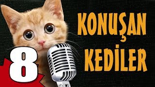 Konuşan Kediler 8  En Komik Kedi Videoları [upl. by Strong]