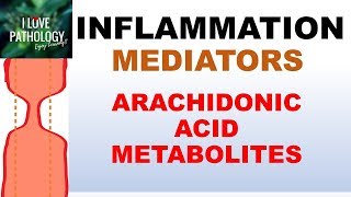 INFLAMMATION Part 5 Chemical Mediators ARACHIDONIC ACID METABOLITES [upl. by Atalie]