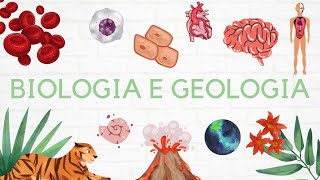 8 Geologia 10º ano  Sismologia 🌎 [upl. by Gerhan]