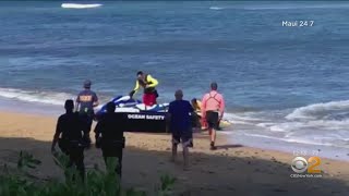 Deadly Shark Attack In Maui [upl. by Leiru]