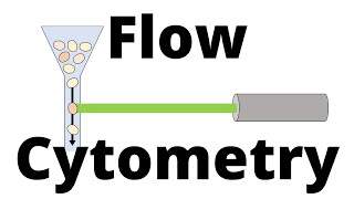 FLOW CYTOMETRY in 1 minute [upl. by Yate]