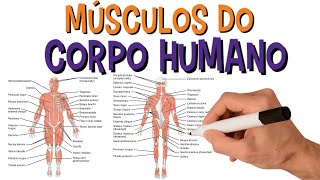 SISTEMA MUSCULAR  Nome Dos Principais Músculos Do Corpo Humano [upl. by Lenee651]