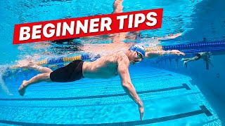 How to Swim Freestyle for Beginner Adults [upl. by Schecter816]