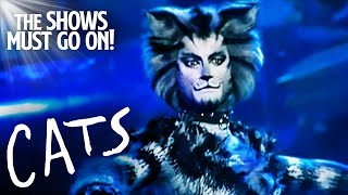 Jellicle Songs for Jellicle Cats  Cats The Musical [upl. by Eeleimaj111]