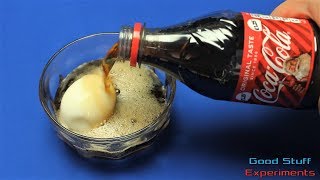 Egg vs Coke  Science Experiment [upl. by Hcone]