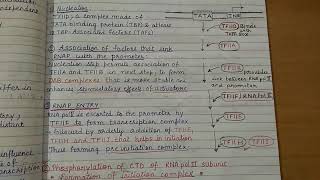 Transcription in Eukaryotes [upl. by Mlehliw46]