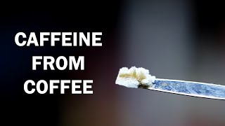 Extracting caffeine from coffee [upl. by Nerha]