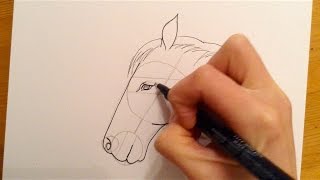 Beginners Lesson  How To Draw A Horse [upl. by Ecallaw677]