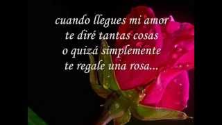 Leonardo Favio ♥ o quizá simplemente le regale una rosa letra [upl. by Vinn]