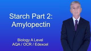 A Level Biology Revision quotStarch Part 2 Amylopectinquot [upl. by Proctor347]