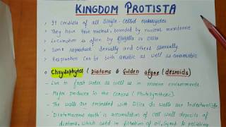 Class 11th  Kingdom protista  Biological Classification Part2  Chapter2 NOTES [upl. by Tiloine]