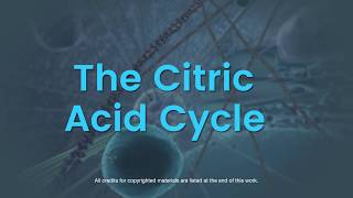 Acidbase definitions  Chemical processes  MCAT  Khan Academy [upl. by Alicirp]