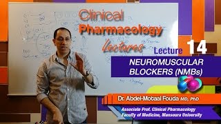 Autonomic Pharmacology Ar  Lec 14  Neuromuscular blockers NMBs [upl. by Mcgaw]