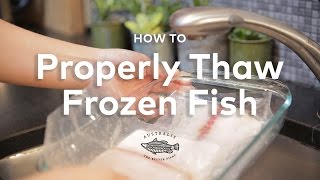 How to Properly Quick Thaw Frozen Fish [upl. by Yellac]