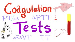 Coagulation Tests  PT aPTT TT Fibrinogen Mixing Studies [upl. by Lamoureux561]