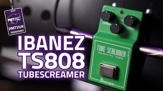 Ibanez TS808 Tubescreamer Reissue Overdrive Pedal [upl. by Kassab]