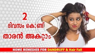 🙆Dandruff Treatment at home in MalayalamDandruff Removal Home Remediesതാരന്‍ Ethnic Health Court [upl. by Asiel]