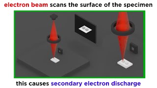 Electron Microscopy TEM and SEM [upl. by Bud]