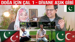 DOĞA İÇİN ÇAL 1  DİVANE AŞIK GİBİ  Pakistani Reaction [upl. by Gignac]