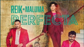 Perfecta  Reik Maluma Estreno [upl. by Starobin]