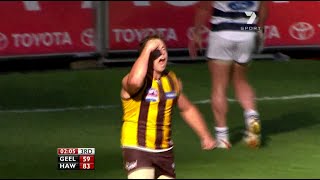 AFL 2008 Grand Final  Hawthorn highlights vs Geelong [upl. by Roberto]