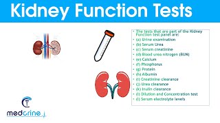 Kidney Function Tests and Interpretation of Results [upl. by Nuavahs]