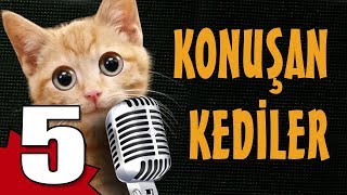 Konuşan Kediler 5  En Komik Kedi Videoları [upl. by Niryt]