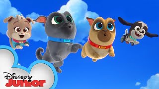 Cupcakes Birthday  Puppy Dog Pals  disneyjr [upl. by Maribel]